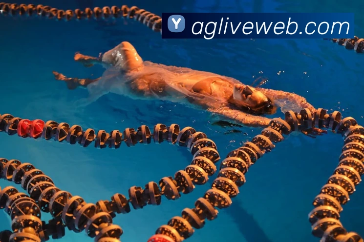 AG真人游戏平台品牌故事