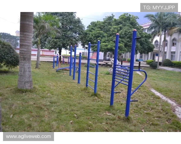 健身器材厂家代理政策及其对体育器械市场的推动作用